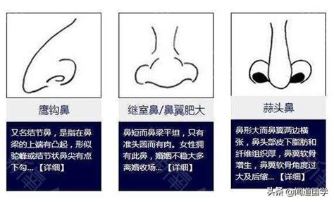 面像 鼻子|面相學之鼻型解析、全面解讀鼻子與命運